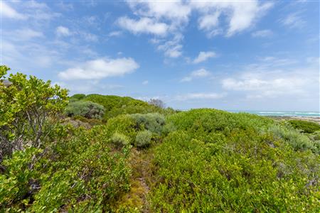 False - Vacant Land Unavailable in Suiderstrand, Western Cape - M126221