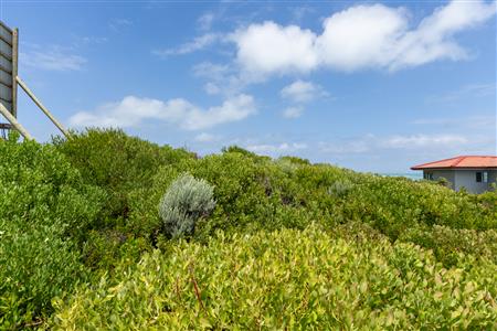 False - Vacant Land Unavailable in Suiderstrand, Western Cape - M126221