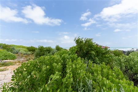 False - Vacant Land Unavailable in Suiderstrand, Western Cape - M126221
