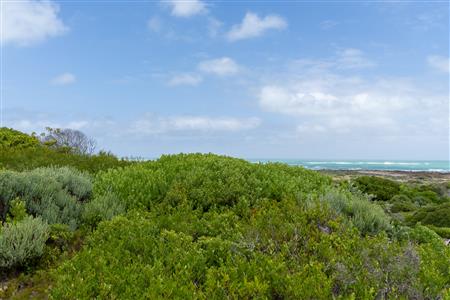 False - Vacant Land Unavailable in Suiderstrand, Western Cape - M126221