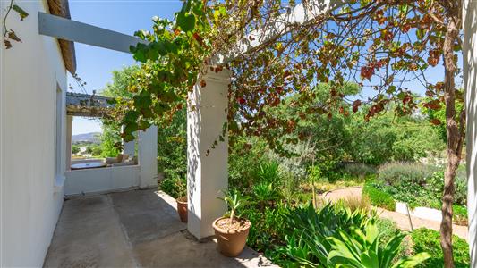 False - House For Sale in McGregor, Western Cape - M126601