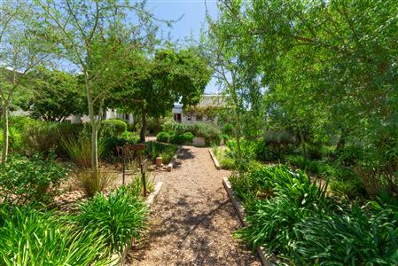 False - House For Sale in McGregor, Western Cape - M126601