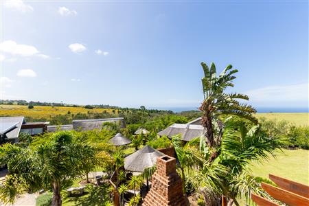 Farm For Sale in George Rural, George, Western Cape - M126695