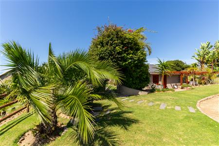 Farm For Sale in George Rural, George, Western Cape - M126695