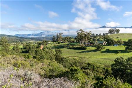 Farm For Sale in Riversdale, Western Cape - M126708