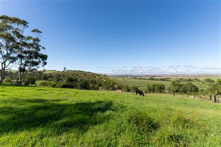 Farm For Sale in Riversdale, Western Cape - M126708