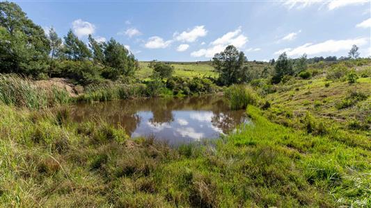 Farm For Sale in Riversdale, Western Cape - M126708