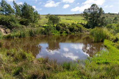 Farm For Sale in Riversdale, Western Cape - M126708