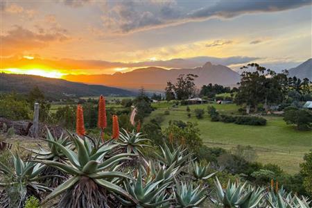 Farm For Sale in Riversdale, Western Cape - M126708