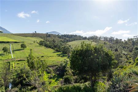 Farm For Sale in Riversdale, Western Cape - M126708