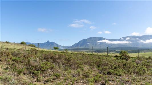 Farm For Sale in Riversdale, Western Cape - M126708