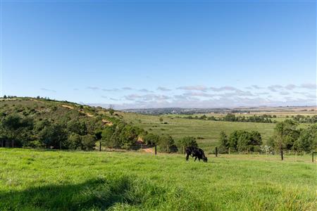 Farm For Sale in Riversdale, Western Cape - M126708