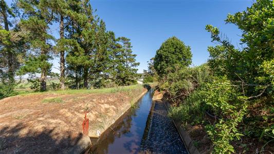 Farm For Sale in Riversdale, Western Cape - M126708