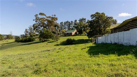 Farm For Sale in Riversdale, Western Cape - M126708