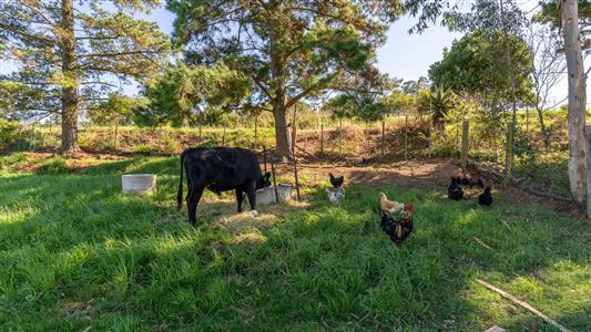 Farm For Sale in Riversdale, Western Cape - M126708