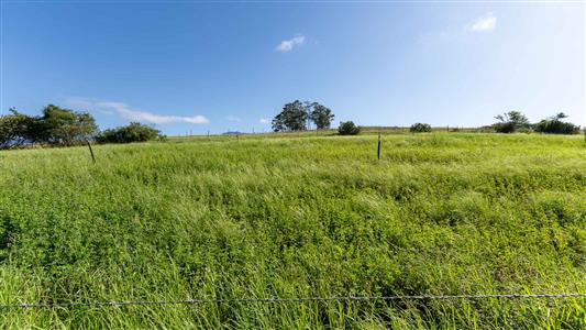 Farm For Sale in Riversdale, Western Cape - M126708