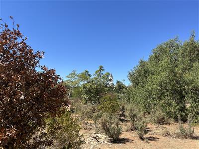 Vacant Land For Sale in McGregor, Western Cape - M126723