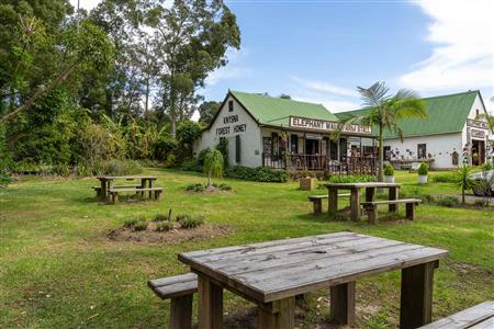 Business For Sale in Harkerville AH, Plettenberg Bay, Western Cape - M126765