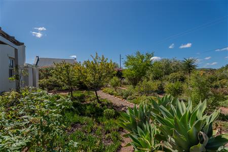 False - House For Sale in McGregor, Western Cape - M126809