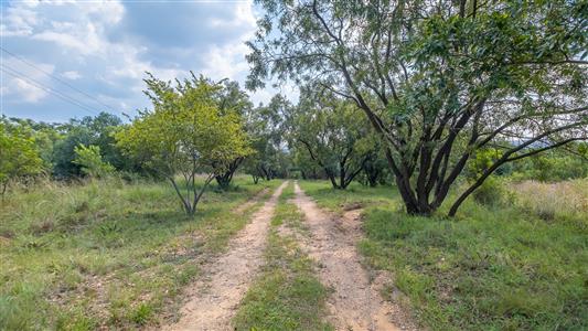 Farm For Sale in Vlakfontein, Centurion, Gauteng - M126871