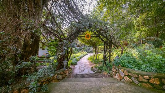 Farm For Sale in Vlakfontein, Centurion, Gauteng - M126871