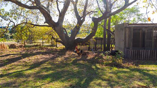 House For Sale in Napier, Western Cape - M126878