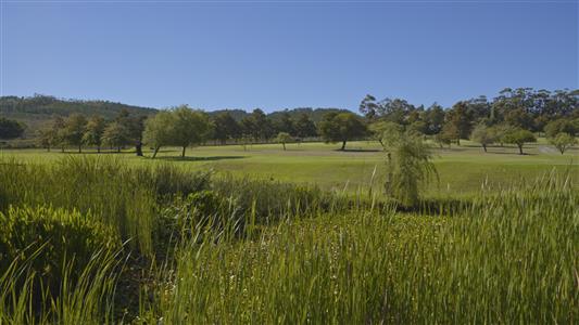 Vacant Land For Sale in Theewaterskloof Country Estate, Dennehof, Villiersdorp, Western Cape - M126979