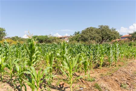 False - Vacant Land Sold in Sterpark, Polokwane, Limpopo - M126993