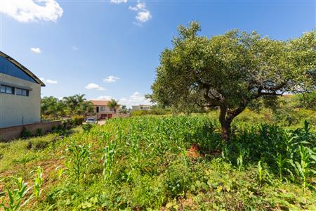 False - Vacant Land Sold in Sterpark, Polokwane, Limpopo - M126993