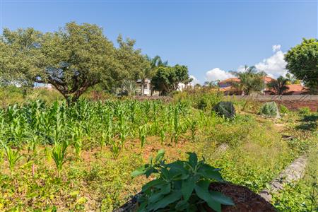 False - Vacant Land Sold in Sterpark, Polokwane, Limpopo - M126993