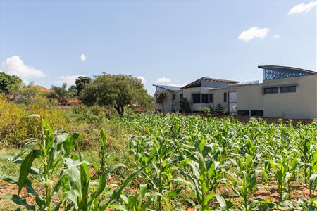 False - Vacant Land Sold in Sterpark, Polokwane, Limpopo - M126993