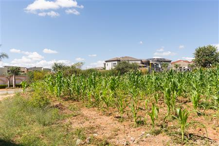 False - Vacant Land Sold in Sterpark, Polokwane, Limpopo - M126993