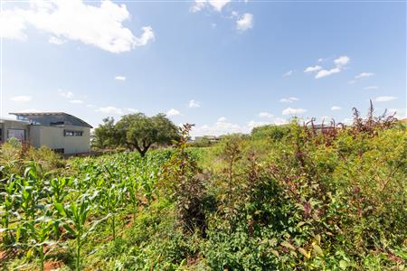 False - Vacant Land Sold in Sterpark, Polokwane, Limpopo - M126993