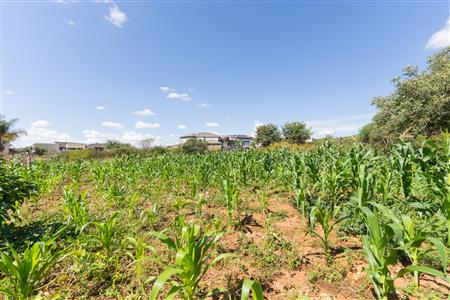 False - Vacant Land Sold in Sterpark, Polokwane, Limpopo - M126993