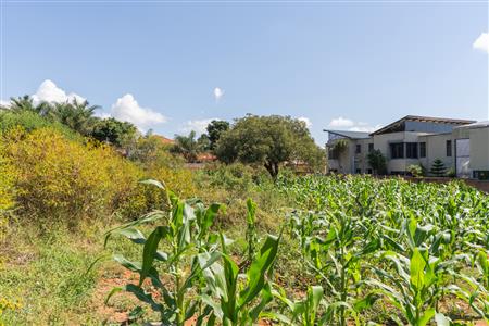 False - Vacant Land Sold in Sterpark, Polokwane, Limpopo - M126993