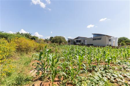 False - Vacant Land Sold in Sterpark, Polokwane, Limpopo - M126993