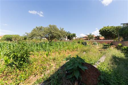 False - Vacant Land Sold in Sterpark, Polokwane, Limpopo - M126993