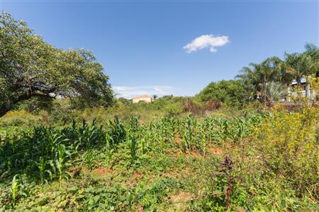 False - Vacant Land Sold in Sterpark, Polokwane, Limpopo - M126993
