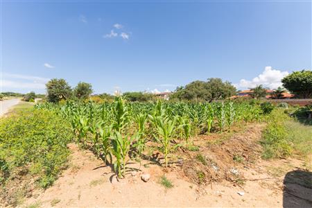 False - Vacant Land Sold in Sterpark, Polokwane, Limpopo - M126993