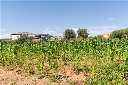 False - Vacant Land Sold in Sterpark, Polokwane, Limpopo - M126993