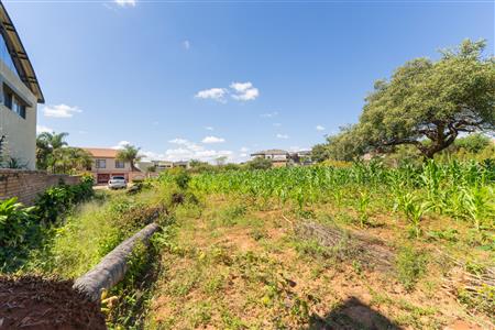 False - Vacant Land Sold in Sterpark, Polokwane, Limpopo - M126993