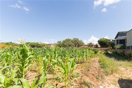 False - Vacant Land Sold in Sterpark, Polokwane, Limpopo - M126993