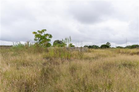 Farm For Sale in Palm AH, Polokwane, Limpopo - M127009