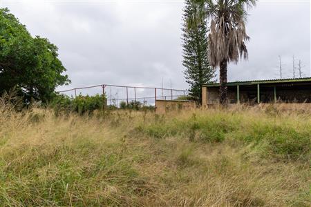 Farm For Sale in Palm AH, Polokwane, Limpopo - M127009