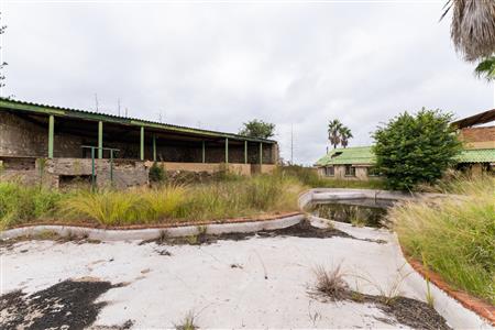 Farm For Sale in Palm AH, Polokwane, Limpopo - M127009