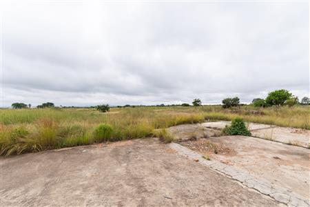 Farm For Sale in Palm AH, Polokwane, Limpopo - M127009