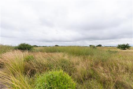 Farm For Sale in Palm AH, Polokwane, Limpopo - M127009