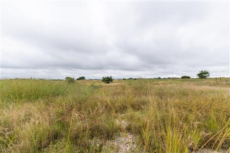Farm For Sale in Palm AH, Polokwane, Limpopo - M127009