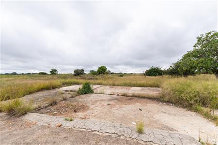 Farm For Sale in Palm AH, Polokwane, Limpopo - M127009