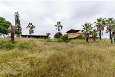 Farm For Sale in Palm AH, Polokwane, Limpopo - M127009